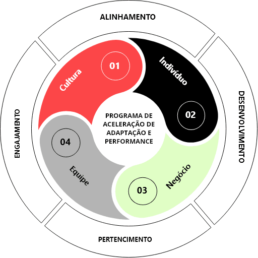 Programa de Aceleração de Adaptação e Performance